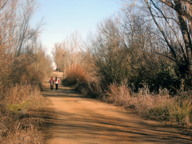 chemin ST Jacques